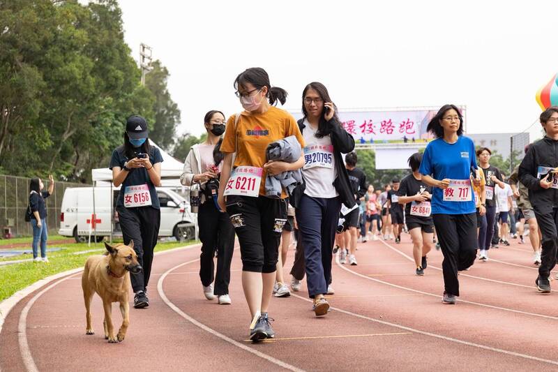 清華大學校園路跑活動